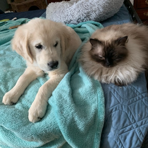 Meet your Posher, Lisa - Picture 3 of 12